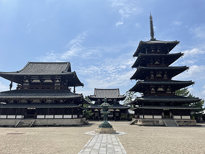 九州延岡のヒノキ