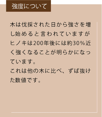ヒノキは日本を象徴する木